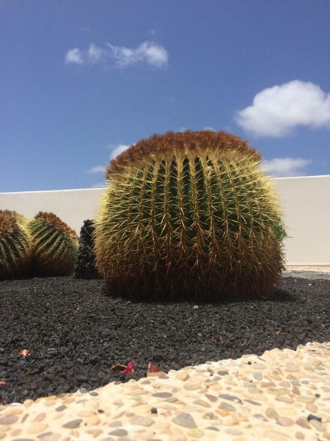 Appartamento Panelolanza Puerto del Carmen  Esterno foto